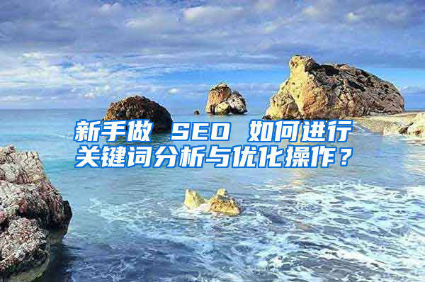 新手做 SEO 如何进行关键词分析与优化操作？