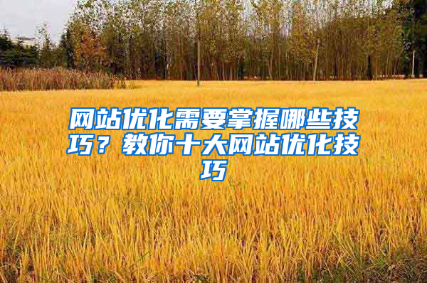 网站优化需要掌握哪些技巧？教你十大网站优化技巧