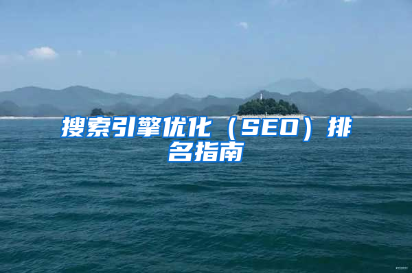 搜索引擎优化（SEO）排名指南