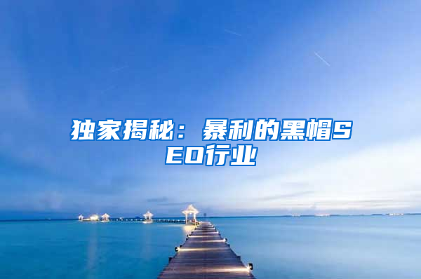 独家揭秘：暴利的黑帽SEO行业