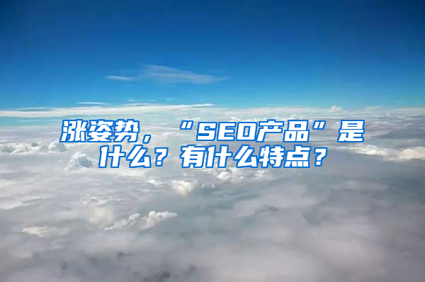 涨姿势，“SEO产品”是什么？有什么特点？