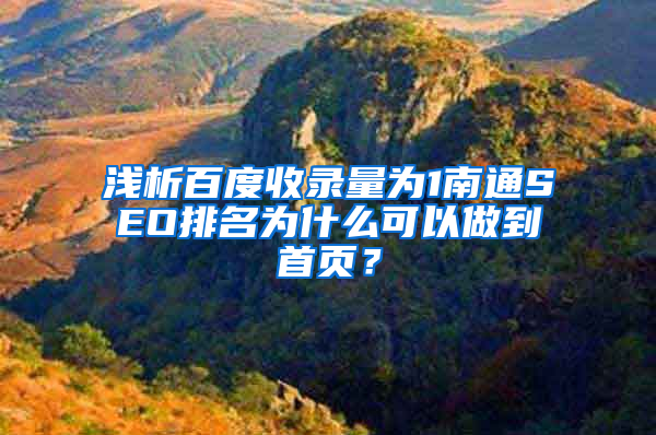 浅析百度收录量为1南通SEO排名为什么可以做到首页？