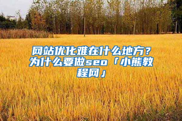 网站优化难在什么地方？为什么要做seo「小熊教程网」