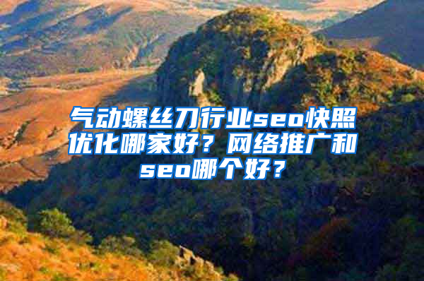 气动螺丝刀行业seo快照优化哪家好？网络推广和seo哪个好？