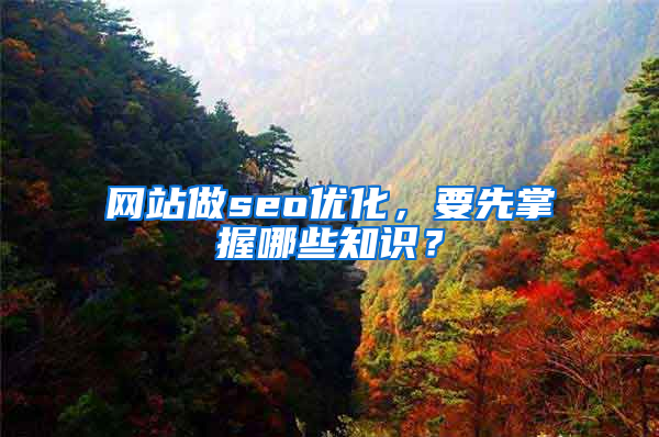 网站做seo优化，要先掌握哪些知识？