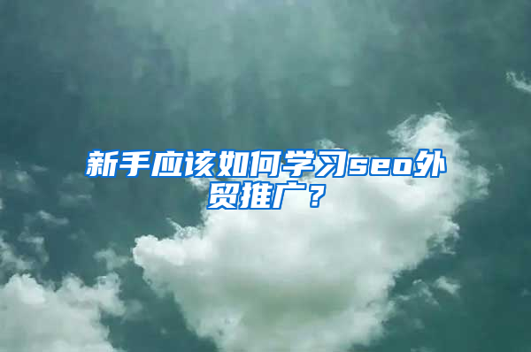 新手应该如何学习seo外贸推广？