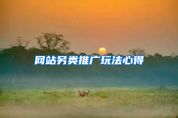 网站另类推广玩法心得