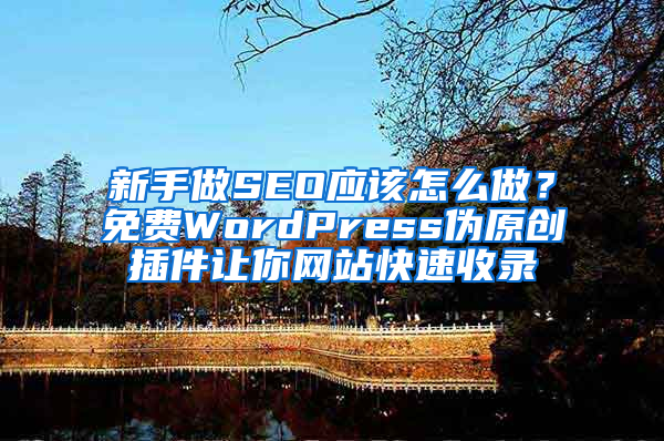 新手做SEO应该怎么做？免费WordPress伪原创插件让你网站快速收录