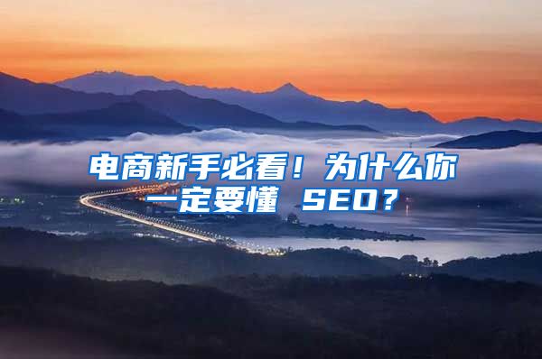 电商新手必看！为什么你一定要懂 SEO？