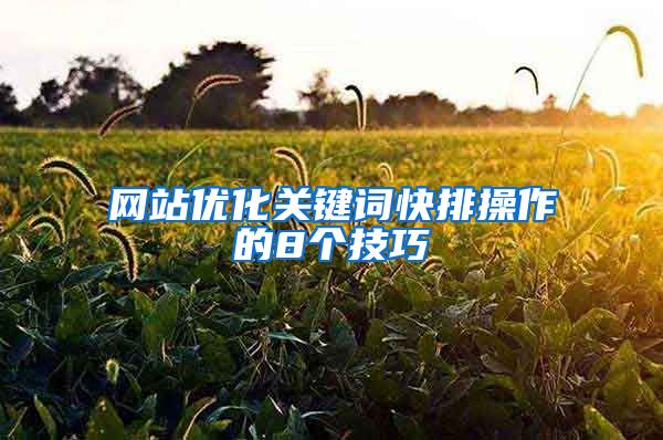 网站优化关键词快排操作的8个技巧