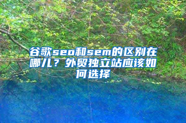 谷歌seo和sem的区别在哪儿？外贸独立站应该如何选择