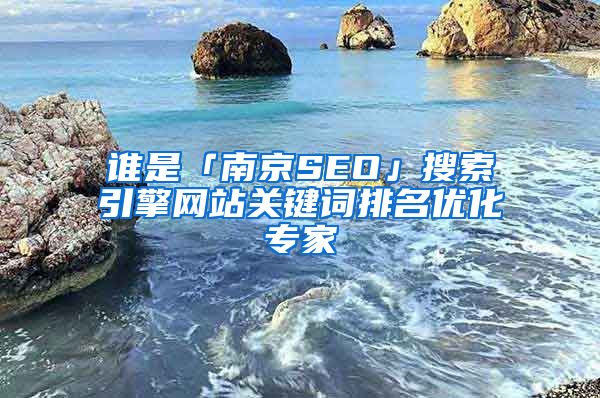 谁是「南京SEO」搜索引擎网站关键词排名优化专家