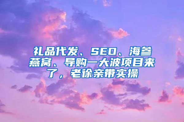 礼品代发、SEO、海参燕窝、导购一大波项目来了，老徐亲带实操