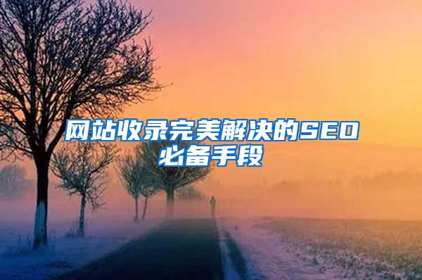 网站收录完美解决的SEO必备手段