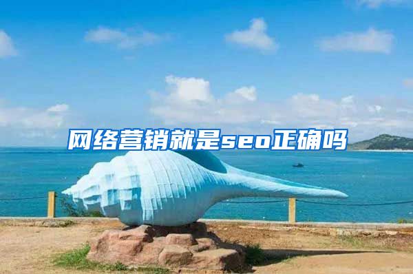 网络营销就是seo正确吗