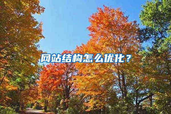网站结构怎么优化？