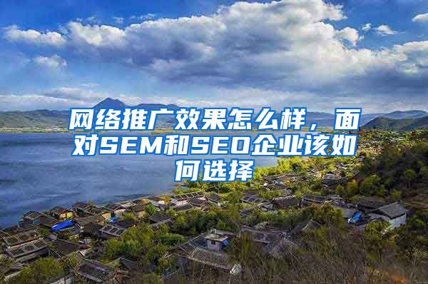 网络推广效果怎么样，面对SEM和SEO企业该如何选择