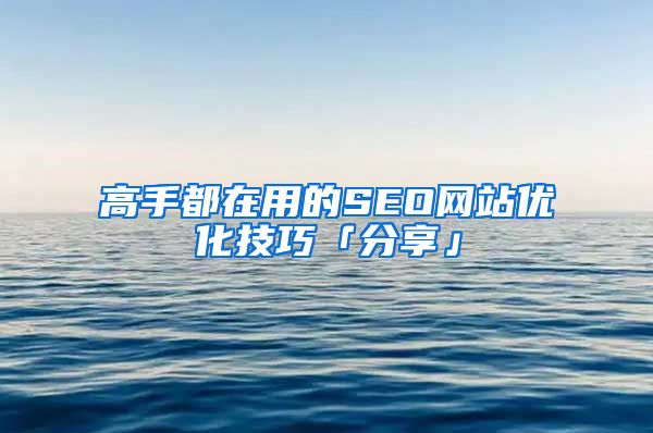 高手都在用的SEO网站优化技巧「分享」