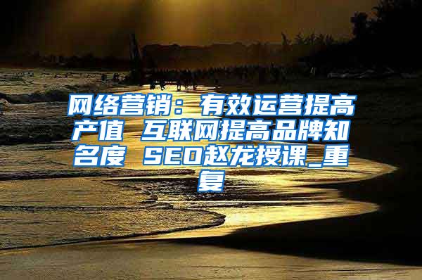 网络营销：有效运营提高产值 互联网提高品牌知名度 SEO赵龙授课_重复