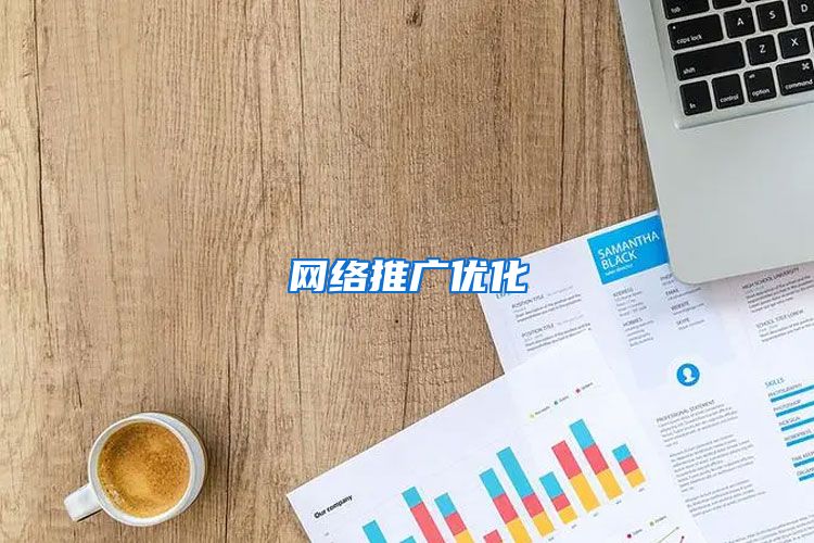 网络推广优化