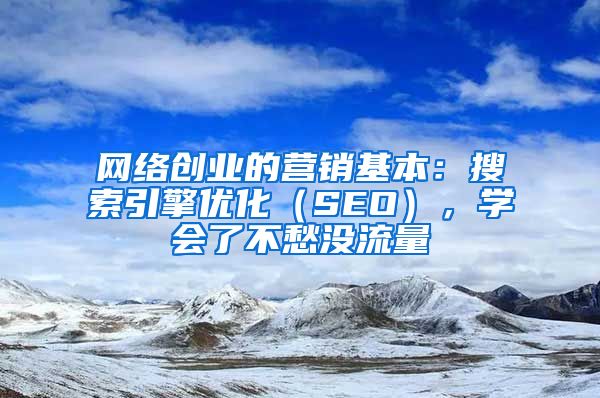 网络创业的营销基本：搜索引擎优化（SEO），学会了不愁没流量