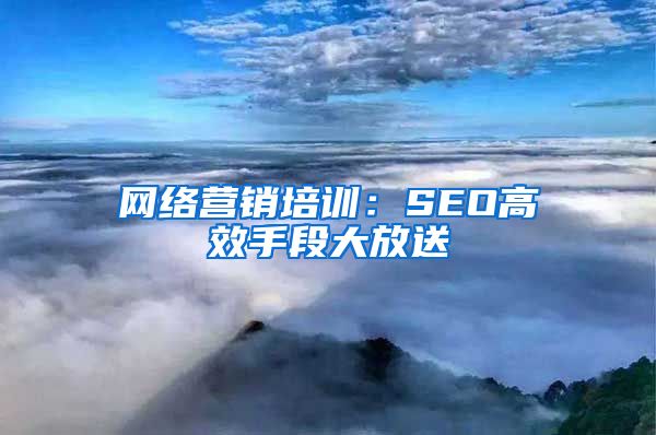 网络营销培训：SEO高效手段大放送