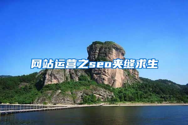 网站运营之seo夹缝求生