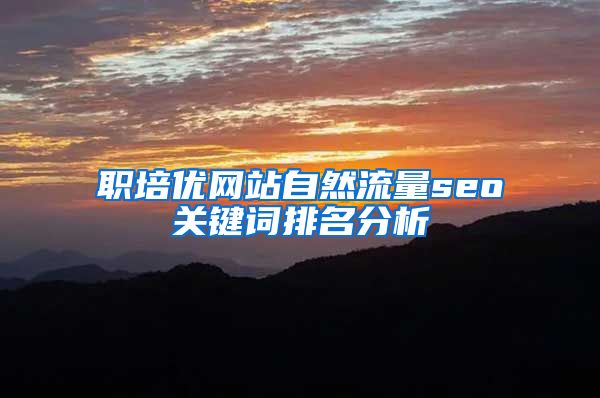 职培优网站自然流量seo关键词排名分析