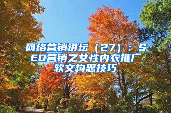 网络营销讲坛（27）：SEO营销之女性内衣推广软文构思技巧