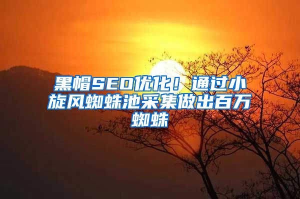 黑帽SEO优化！通过小旋风蜘蛛池采集做出百万蜘蛛