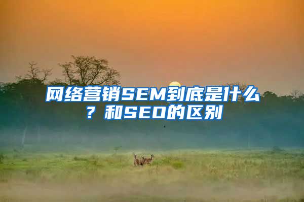 网络营销SEM到底是什么？和SEO的区别