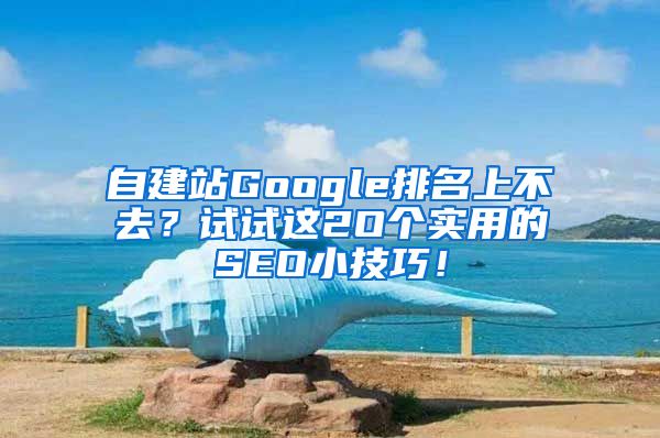 自建站Google排名上不去？试试这2O个实用的SEO小技巧！
