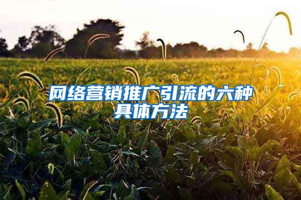 网络营销推广引流的六种具体方法