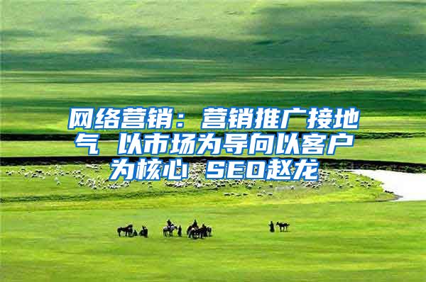 网络营销：营销推广接地气 以市场为导向以客户为核心 SEO赵龙