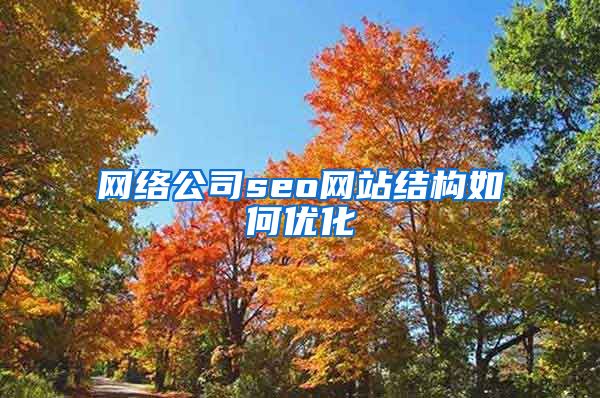 网络公司seo网站结构如何优化