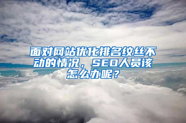 面对网站优化排名纹丝不动的情况，SEO人员该怎么办呢？