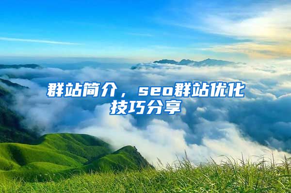 群站简介，seo群站优化技巧分享