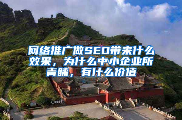 网络推广做SEO带来什么效果，为什么中小企业所青睐，有什么价值