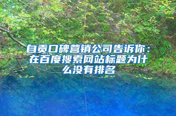 自贡口碑营销公司告诉你：在百度搜索网站标题为什么没有排名