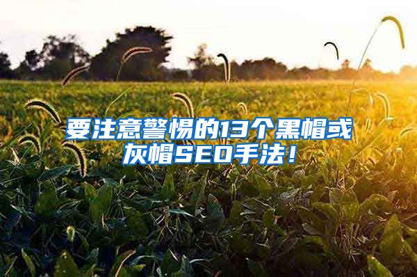 要注意警惕的13个黑帽或灰帽SEO手法！