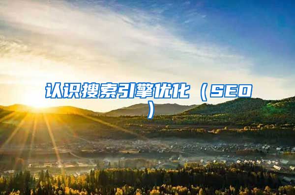 认识搜索引擎优化（SEO）