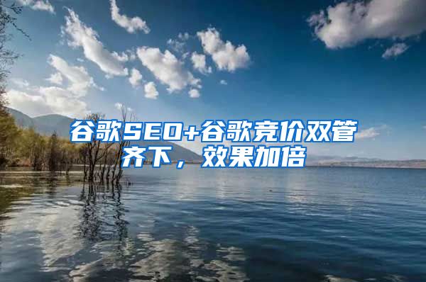 谷歌SEO+谷歌竞价双管齐下，效果加倍