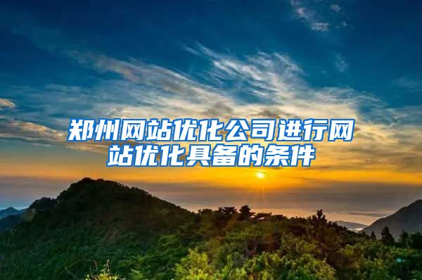 郑州网站优化公司进行网站优化具备的条件