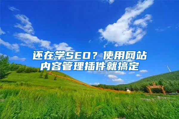 还在学SEO？使用网站内容管理插件就搞定