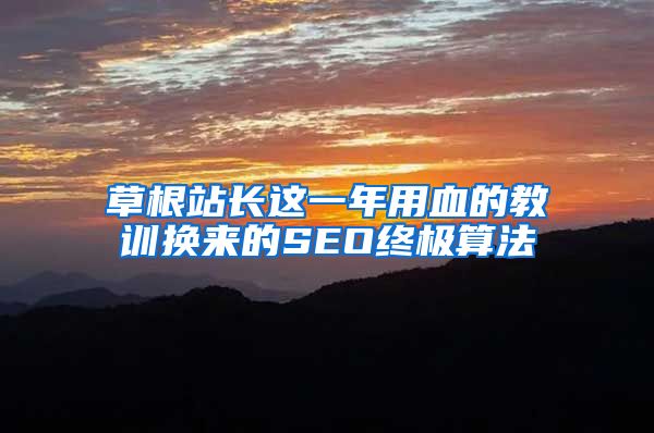 草根站长这一年用血的教训换来的SEO终极算法