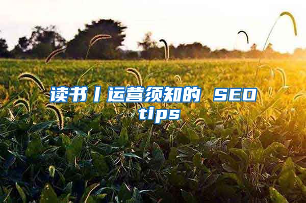 读书丨运营须知的 SEO tips