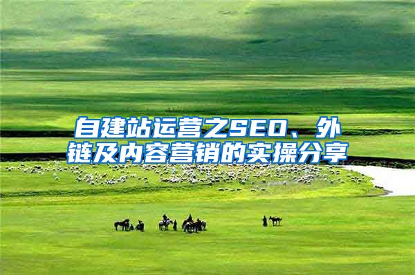 自建站运营之SEO、外链及内容营销的实操分享