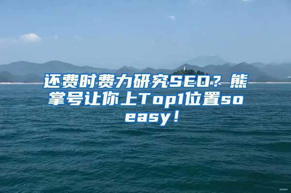 还费时费力研究SEO？熊掌号让你上Top1位置so easy！