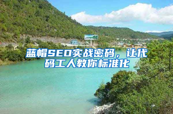蓝帽SEO实战密码，让代码工人教你标准化