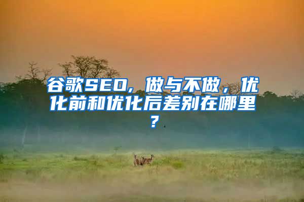 谷歌SEO, 做与不做，优化前和优化后差别在哪里？